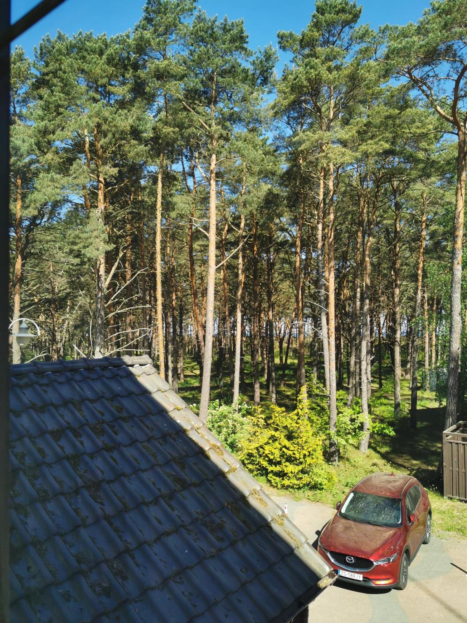 Dom Goscinny Dzafar Pogorzelica Exteriör bild